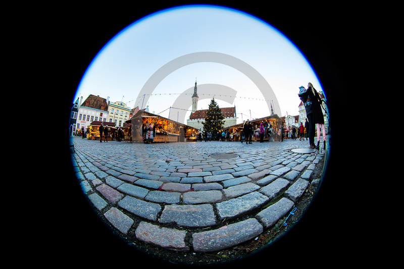 Canon EOS-1D XEF8-15mm f/4L FISHEYE USM8 mm