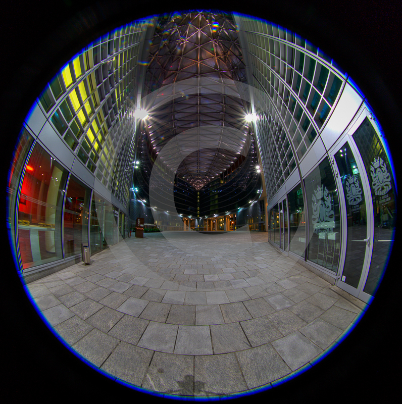 Canon EOS-1D XEF8-15mm f/4L FISHEYE USM8 mm45°29'11
